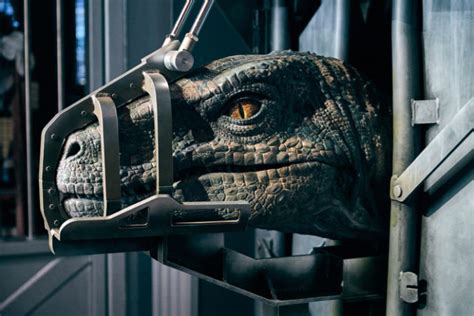 Universal Orlando Reveals Details About Velociraptors In Jurassic World Velocicoaster Opening