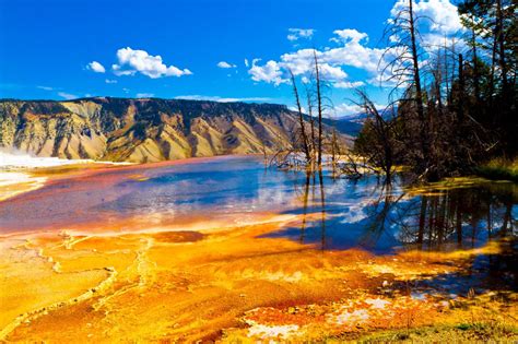 It is the first and oldest national park in the world and covers 3,468 square miles (8,983 square kilometers), mostly in the northwest corner of wyoming. Yellowstone National Park, Wyoming United States | Found ...