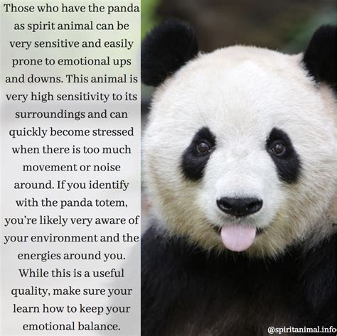 Panda Spirit Animal Totem Meaning Spirit Animal Totem Spirit