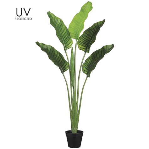 64″ Uv Protected Plastic Bird Of Paradise Plant In Pot Green Silk