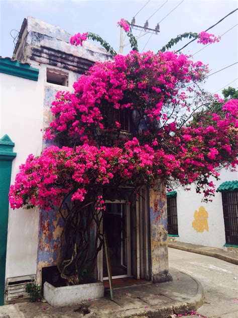 Speaking of beaches, no trip to colombia is complete without taking in the coast of colombia. Cartagena,Colombia (Görüntüler ile)