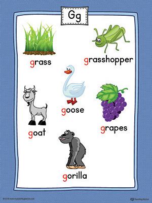 Learn how to pronounce the letter e' in french with this detailed lesson including sound files. Letter G Word List with Illustrations Printable Poster ...