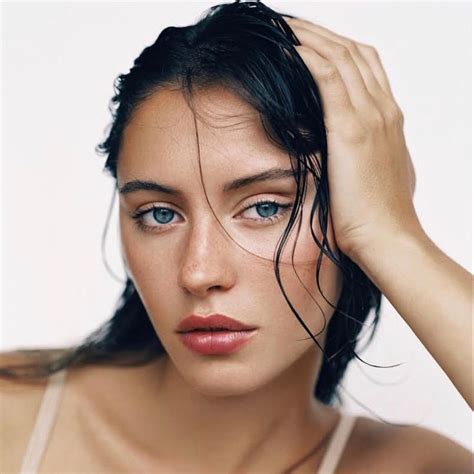 Pin On Iris Law