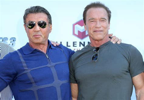 Why Sylvester Stallone And Arnold Schwarzenegger Had A Violent Hatred