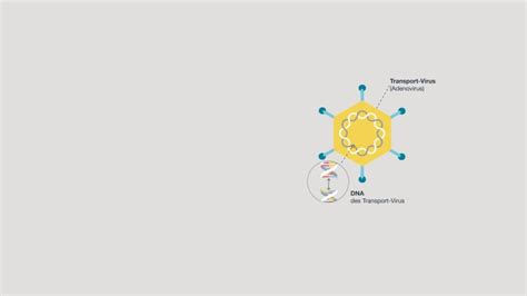 Der impfstoff ist ein proteinbasierter impfstoff. mRNA- und Vektorimpfstoffe