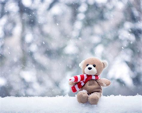 Latest Teddy Bears Wallpapers Wallpaper Cave