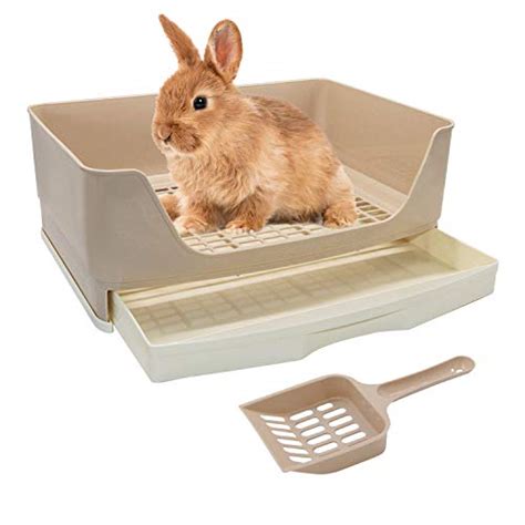 Top 10 Best Rabbit Litter Box Of 2023 Review Best Pet Pro
