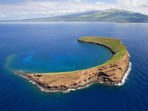 Molokini Crater Back Wall Snorkeling Tours From Kihei Redline Rafting
