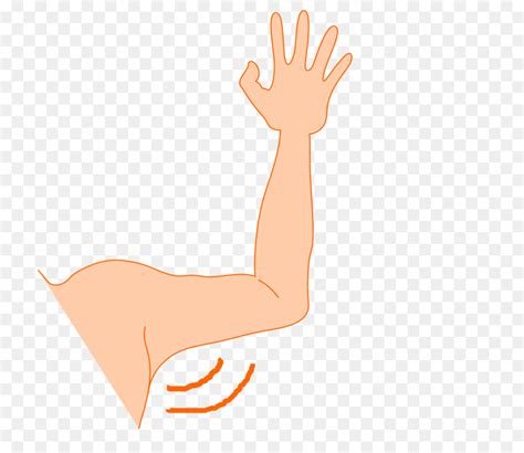 Clipart Arm Shoulder Pictures On Cliparts Pub 2020 🔝