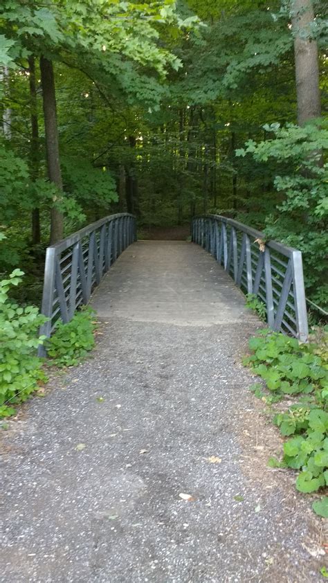 Summer Trail Tour: West Side Trails (aka Columbia Forest) - Run Waterloo