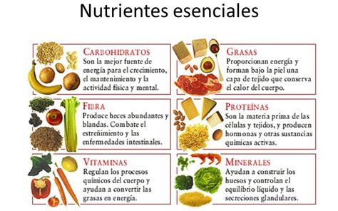 Identifique Os Principais Nutrientes De Cada Alimento Consumido Learnbraz