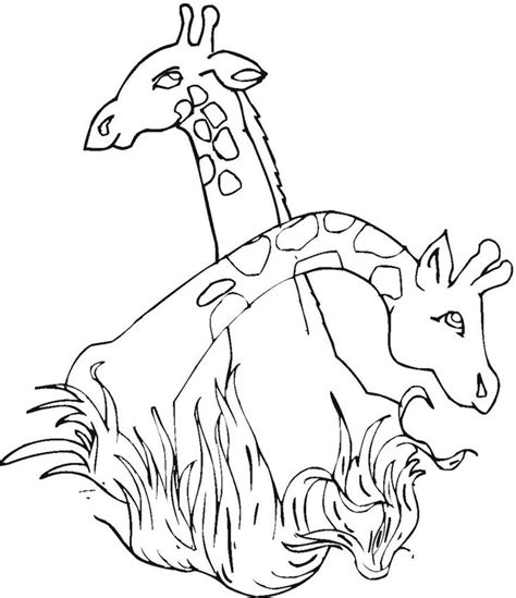 • learn where giraffes live, as well as where they don't. Free Printable Giraffe Coloring Pages For Kids (With ...