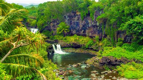 See The Seven Sacred Pools At Oheo Along Mauis Famous Road To Hana