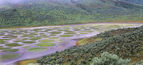 Healing Powers Of Osoyoos Spotted Lake Cool Places To Visit Places