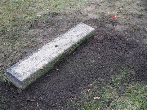 Holocaust architect's grave dug up in Berlin | Europe - Gulf News