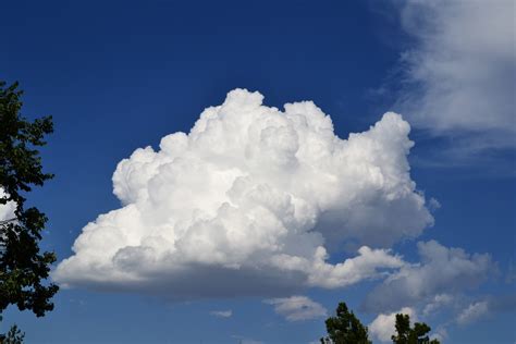 Single Fluffy Cumulus Cloud 2012 07 26 Cumulus Colorado Cloud Pictures