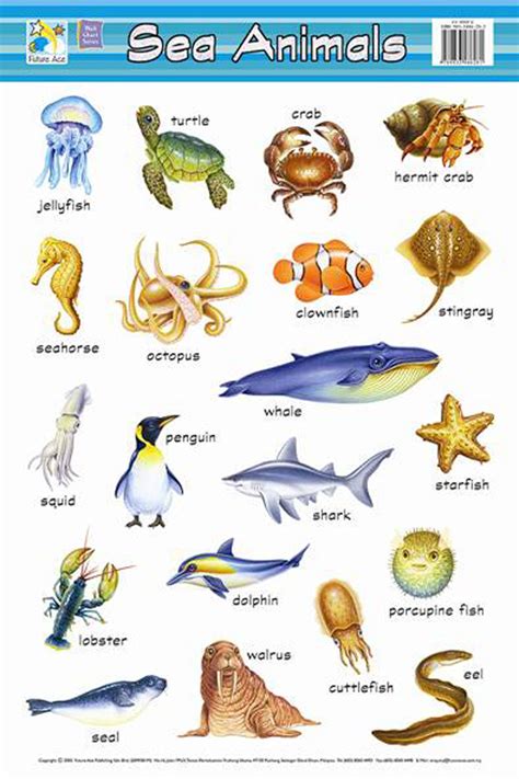 Jasart Kids Wall Chart Sea Animals