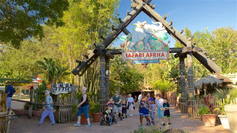 Top 20 Zootampa At Lowry Park Tampa House Rentals From 65night Vrbo