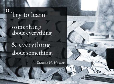 49 Beautiful Quotes About Learning Curated Quotes