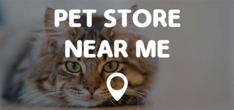 Pet stores are businesses that sell pets, as well as pet food, collars, cages, leashes and other supplies. CASINOS NEAR ME - Find Casinos Near Me Locations Quick and ...
