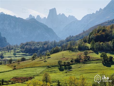 Cabrales is a sheep cheese. Cabrales rentals for your vacations with IHA direct