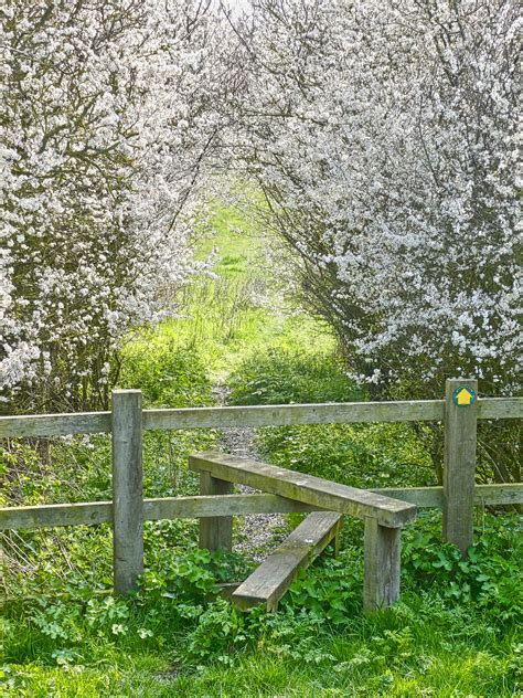 'west chicago il fence company, companies, west chicago fence contractor, pool fence, fence repair west chicago.' links out. Fence Company Brabant West Virginia - 6 Tips For Choosing ...