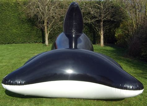 Whale 5m Black Shiny Inflatable World