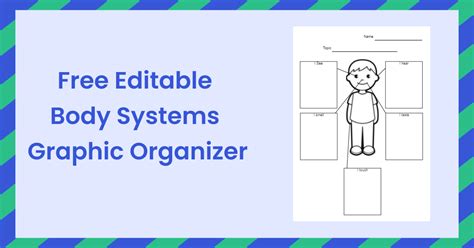 Free Editable Body Systems Graphic Organizer Examples Edrawmax Online
