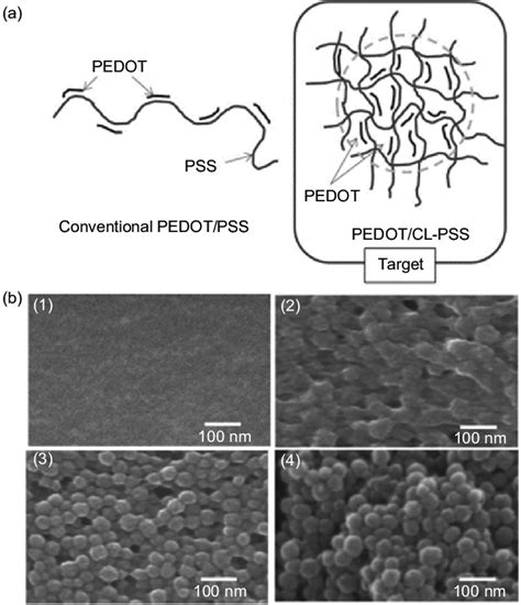 A A Pedotpss Polymer And Pedotcl Pss Particle Sem Images Of The