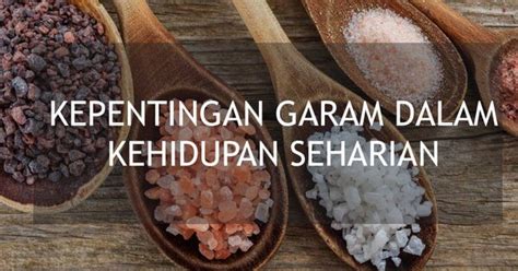 Jom pakat2 memperbanyakkan selawat kepada kekasih allah, pesuruh allah, ya rasulullah. KEPENTINGAN GARAM DALAM KEHIDUPAN SEHARIAN