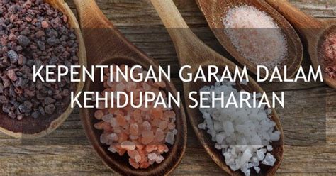 Bagaimanakah proses ini diaplikasikan dalam kehidupan seharian kita? KEPENTINGAN GARAM DALAM KEHIDUPAN SEHARIAN