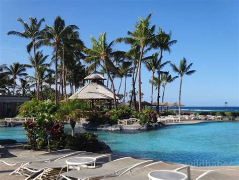 pool hotel the fairmont orchid hawaii puako holidaycheck hawaii usa