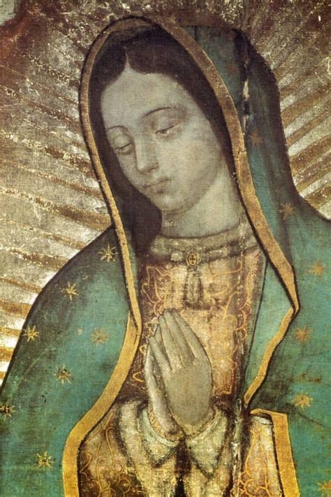 No obstante, él no pudo volver debido a que su tío juan bernardino al encontrar al obispo, dejó caer su tilma para enseñarle las flores. GUADALUPE, ADVOCACIÓN DE LA SANTÍSIMA VIRGEN MARÍA | Ecce ...