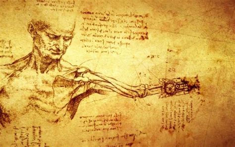 Leonardo Da Vinci Y La Anatomia Humana Leonardo Da Vinci Anatomía