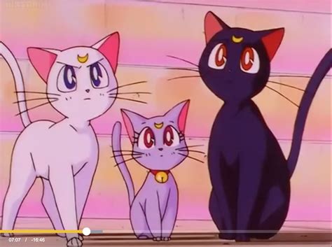 You can also upload and share your favorite aesthetic laptop wallpapers. Anime Aesthetic Sailor Moon Cat - Largest Wallpaper Portal