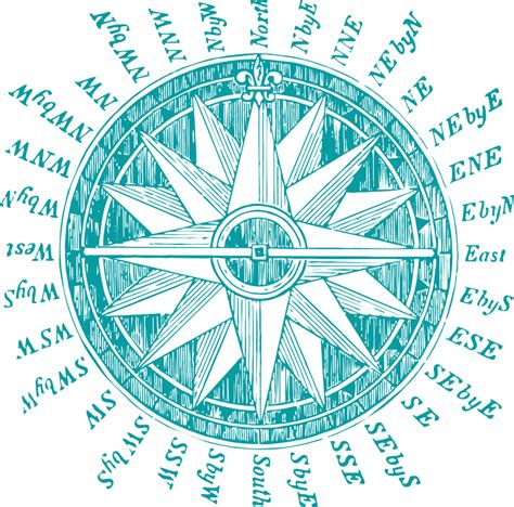 Compass One Piece Toddler T Shirt One Piece Anime Compass Clipart