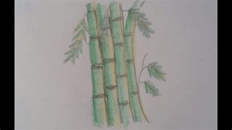 Menggambar Pohon Bambu Youtube