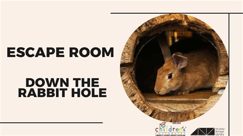 escape room down the rabbit hole murray bridge council