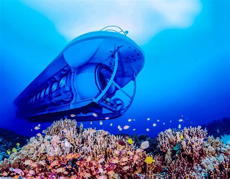 Atlantis Submarine Dive Kona Hawaii Submarine Tours
