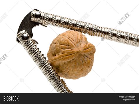 Tough Nut Crack Image And Photo Free Trial Bigstock