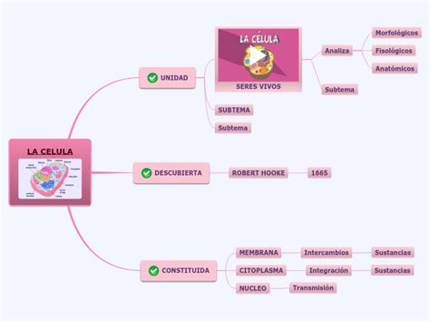 La Celula Mind Map