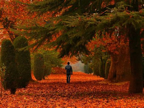 In Pictures Kashmir In Autumn Times Of India Travel