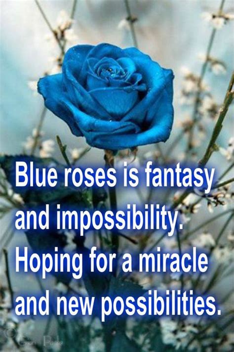 What Do Blue Roses Mean Meanid