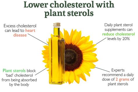 Lower Cholesterol Levels With Plant Sterols Plant Sterols