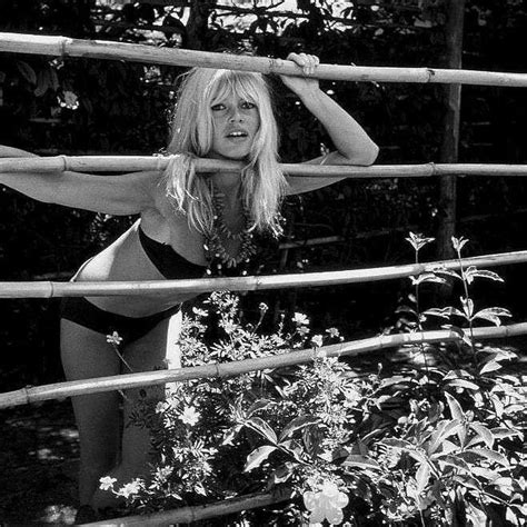 Brigitte Bardot Muchas Actrices ‘calientan A Los Productores Para Tener Un Papel