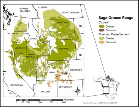 Historic And Current Range Of Sage Grouse Centrocercus Spp In
