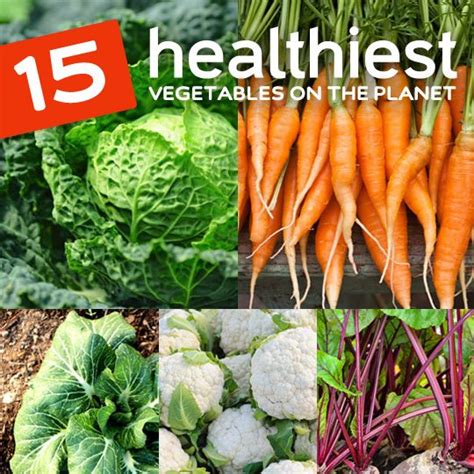 15 Las Verduras Más Saludables Del Planeta Ot Toulouse