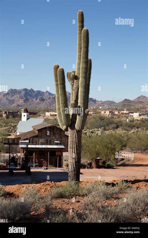 America Arizona Cactus Wild West Majestic Hi Res Stock Photography And