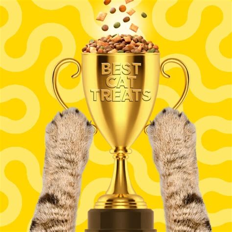 Nutriment Raw | A Wag-tastic Treat for Your Furry Friends!-Puffuny