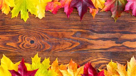 Colorful Autumn Leaves On A Wood Background Stock Image Image Of